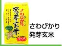 さわぴかり